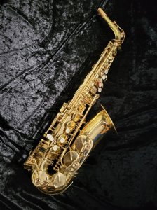 Dixon Alt Saxophon 1